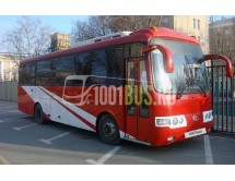 Автобус Hyundai AeroTown (810) 