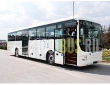 Автобус MAN Lions Intercity